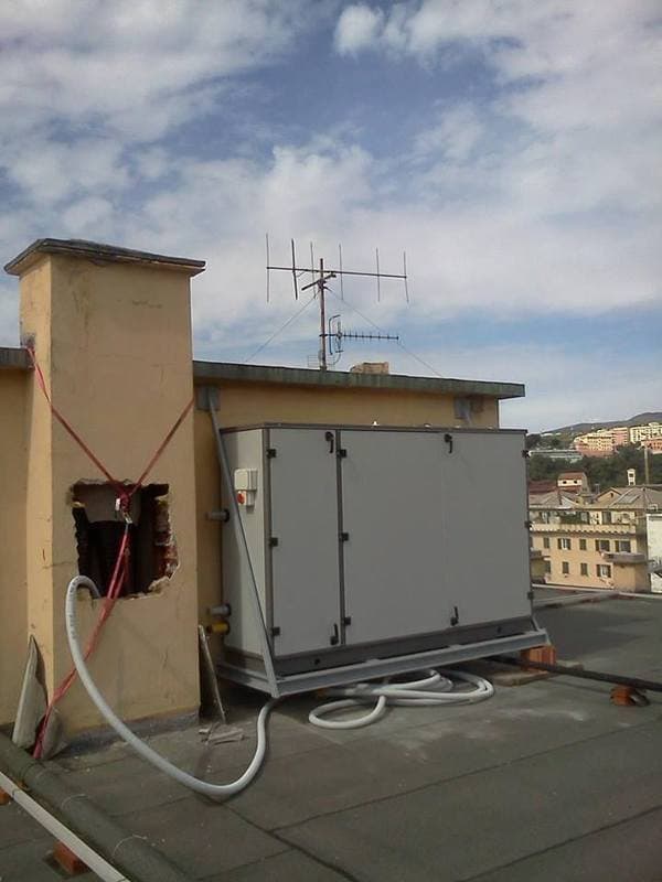 Fava Termotecnica - Immagine 2