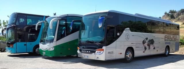 Felici in Tour noleggio pullman - Immagine 1