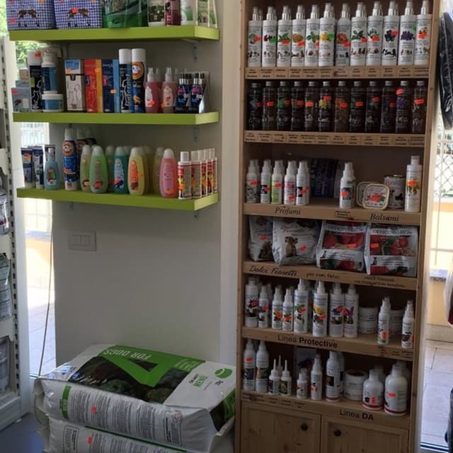 Fido Verde - Immagine 1