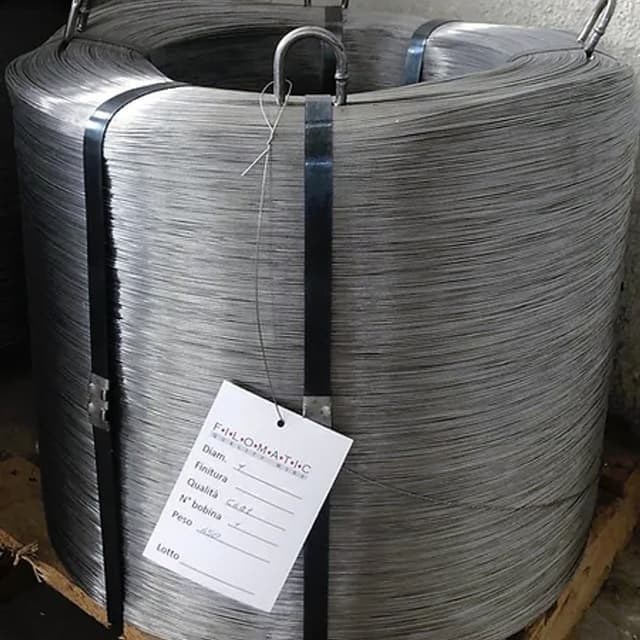 Filomatic - Immagine 1