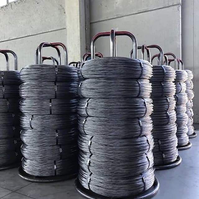 Filomatic - Immagine 2