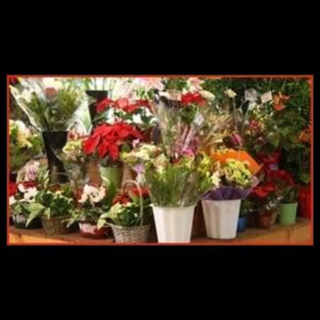 Fioreria Denis - Immagine 1