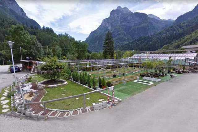 Fioreria Giardino Agordino - Immagine 1