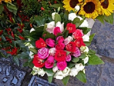 Fioreria Serena - Immagine 1