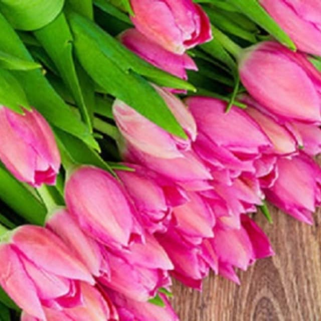 Fiori e Piante Il Paradiso dei Fiori - Immagine 1