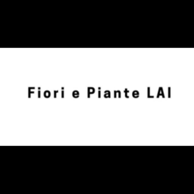 Fiori e Piante Lai - Immagine 1