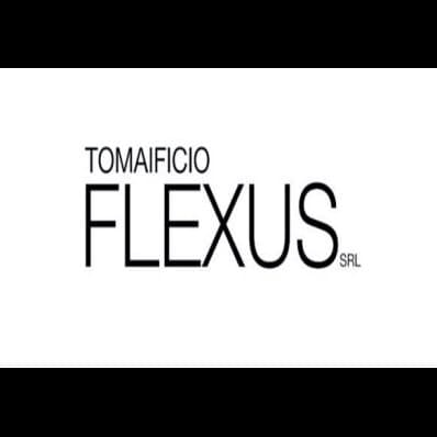 Flexus - Immagine 1