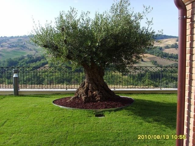 Florgarden - Immagine 1