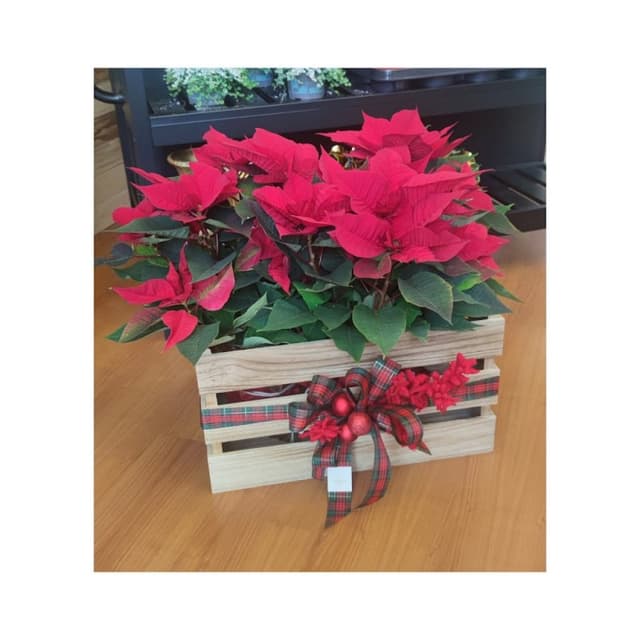 Flower up Atelier Floreale - Immagine 2