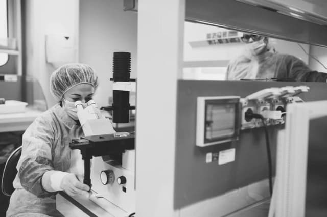 Fondazione Banca degli Occhi del Veneto Onlus - Immagine 2