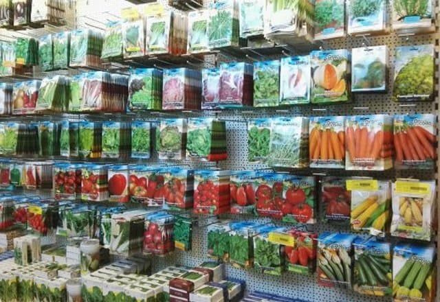 Garden Point - Immagine 2