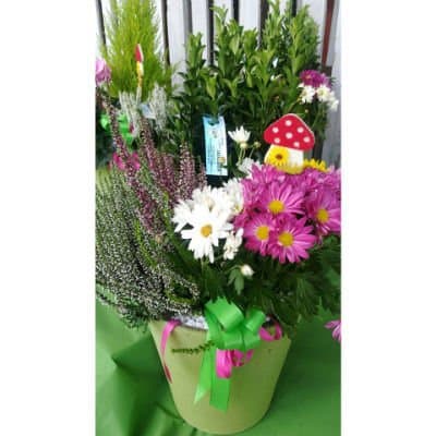 Garden Valcavasia - Tutto per Il Giardino - Immagine 2