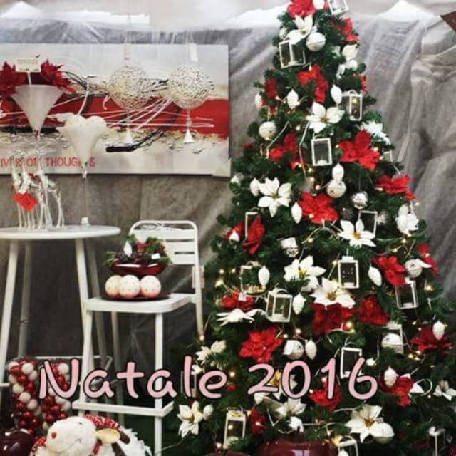 Garden Vivai Morselli - Immagine 1