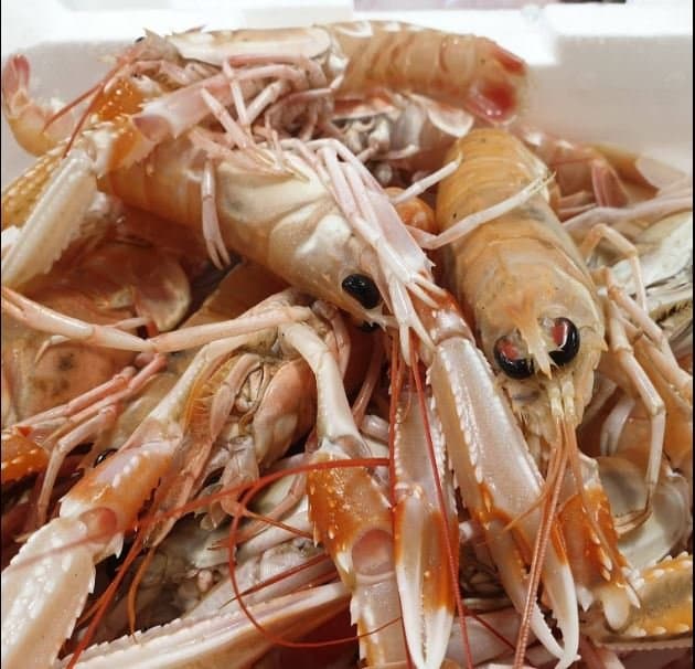 Gastronomia Pescheria Da Felice - Immagine 1