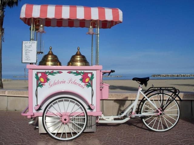 Gelateria Yogurteria Pelacani - Immagine 2