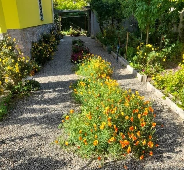 G.F.Y Giardinaggio e Cura dell'Ambiente - Immagine 1