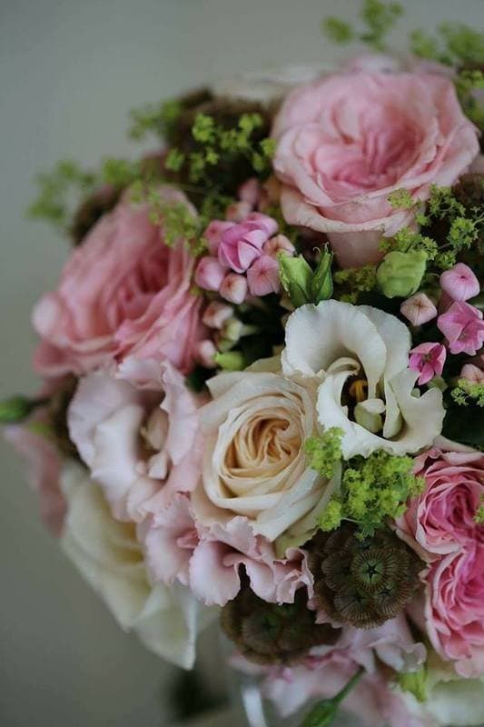 Giambarioli - Fiori . Casa . Regalo - Immagine 2