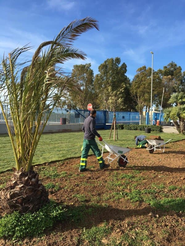 Giardinaggio | manutenzione del verde in provincia di Brindisi Sole Verde - Immagine 1
