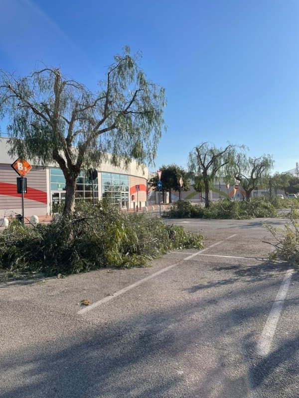 Giardinaggio | manutenzione del verde in provincia di Brindisi Sole Verde - Immagine 2