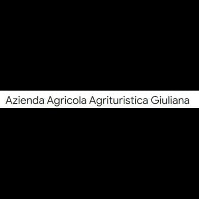 Giuliana Tommaso Gioacchino Azienda Agricola - Immagine 1