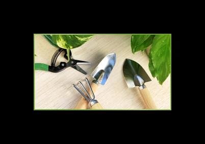 Giuliani Bruno - Immagine 1