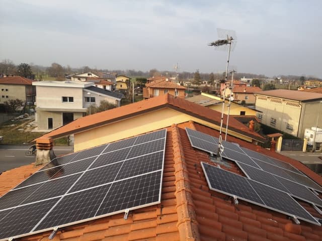 Green Zoone - Immagine 1