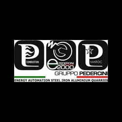 Gruppo Pedercini - Elettro 2000 - Pcombustion - Immagine 1