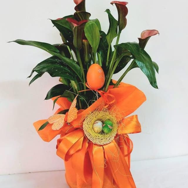 Idea Fiore - Faxiflora - Immagine 1