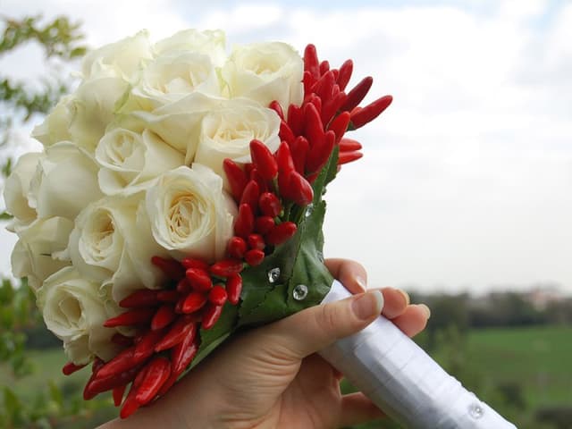 Il Chiosco in Fiore Salamone Bianca Maria - Immagine 1