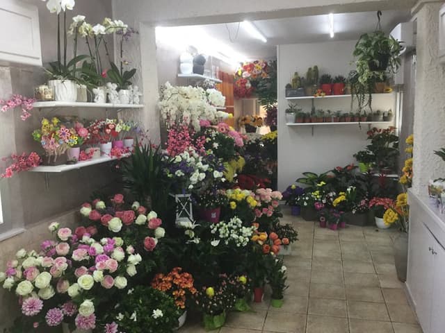 Il Chiosco in Fiore Salamone Bianca Maria - Immagine 2