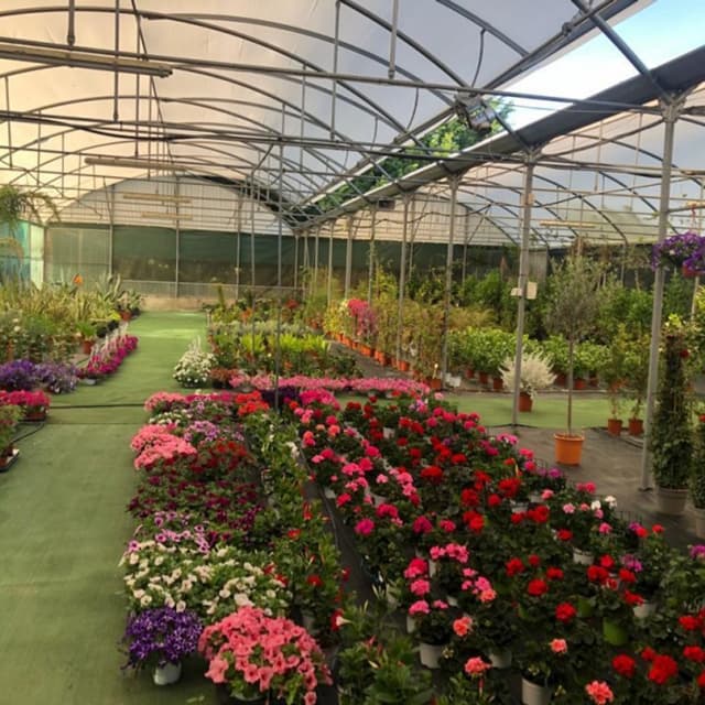 Il Giardino dei Desideri - Immagine 1