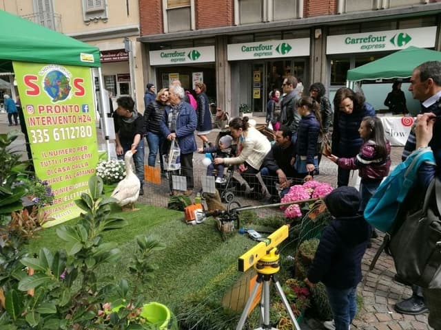 Il Mondo dei Servizi di Martin Stock Coop Soc - Immagine 1