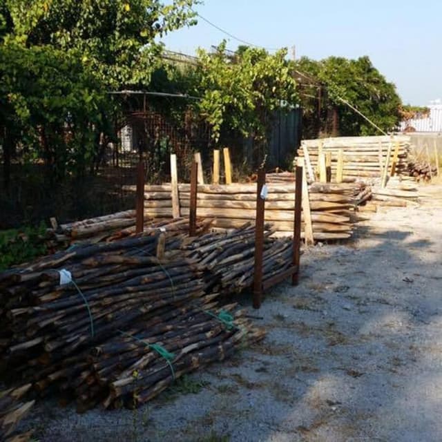 Impresa Boschiva di Lettieri Esterina - Immagine 1