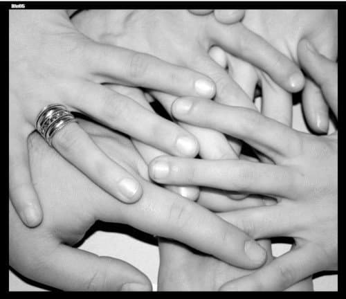 Insieme Si Può Soc.Coop. Sociale - Immagine 1