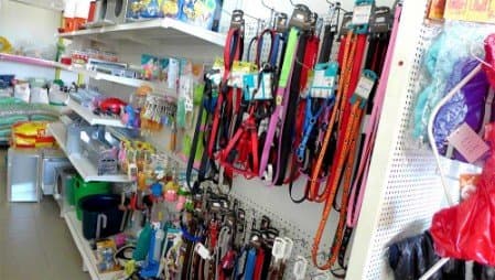 L' Agraria Service - Giardinaggio - Immagine 2