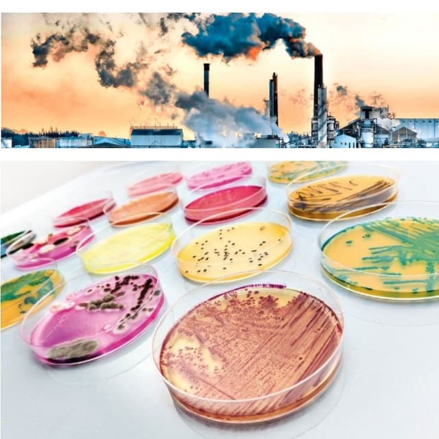 Laboratorio Analisi chimiche Dott. Vincenzo Sorce - Immagine 2