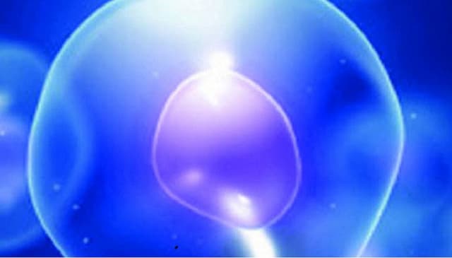 Laboratorio Analisi Poliambulatorio Cromaton - Immagine 1