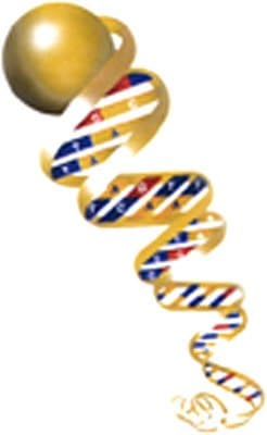 Laboratorio Califano - Immagine 1