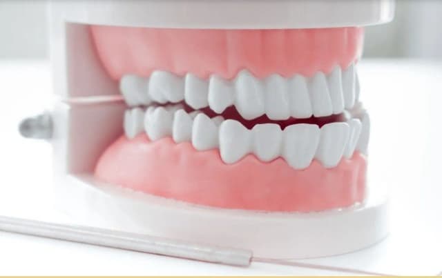 Laboratorio Odontotecnico Giannini Giorgio - Immagine 2