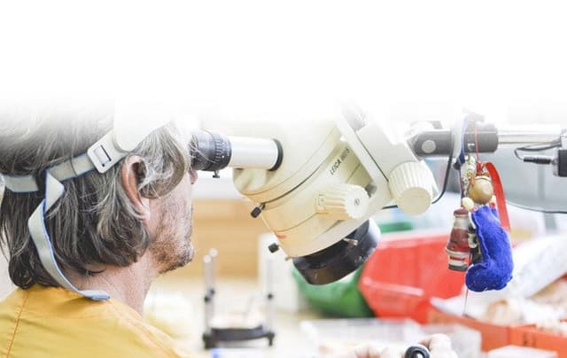 Laboratorio Odontotecnico Riccomini e Galli - Immagine 2