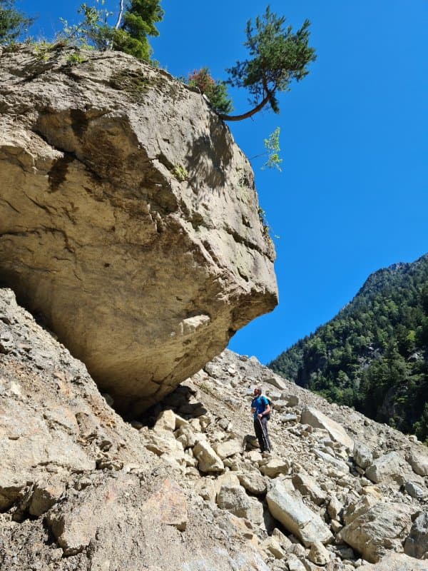 Land & Cogeo - Immagine 2