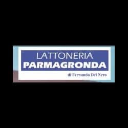 Lattoneria Parmagronda - Immagine 2