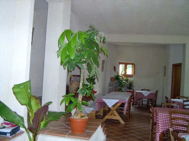 "Lecammarose" Agriturismo-Agricampeggio-Fattoria Didattica - Immagine 2