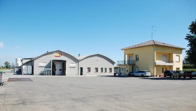 Lisa Lavorazione Carni - Immagine 1