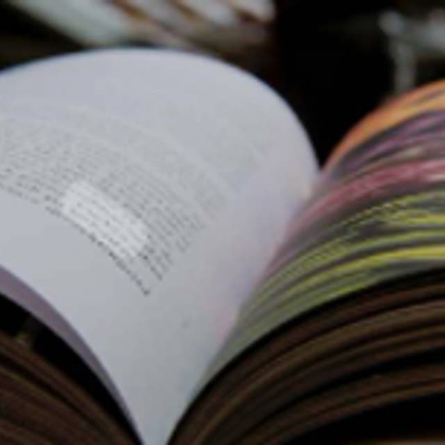 Litopat - Immagine 2