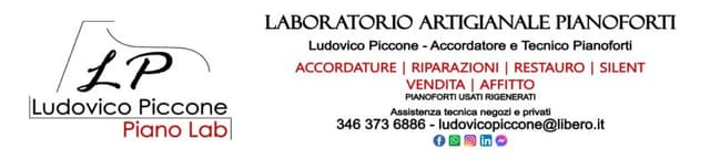 Ludovico Piccone - Accordatore e Tecnico Pianoforti - Immagine 1
