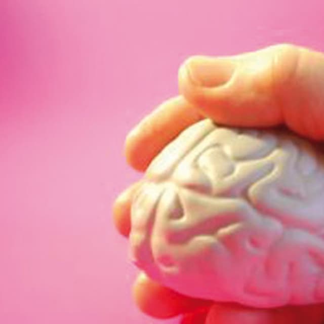 Magellano | SLOP Scuola Lombarda di Psicoterapia - Immagine 1