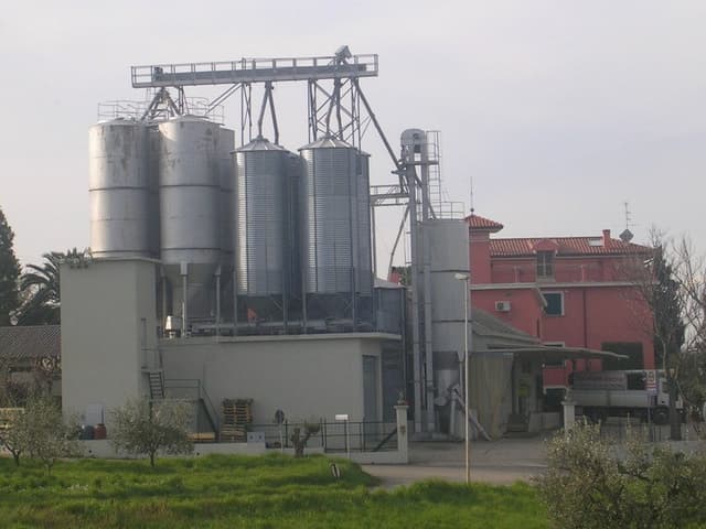 Mangimi Badia - Immagine 2