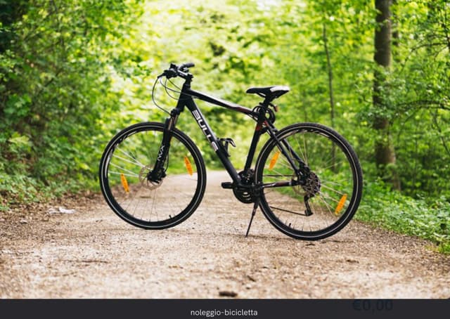 Mary Travel Servizi Turistici - Immagine 2