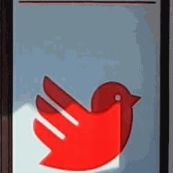 M.D.F. Manutenzione Caldaie Hermann Saunier Duval - Immagine 1